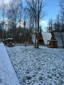 Voronovo Village - 48
