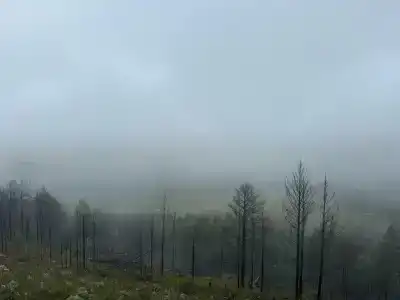 М53 - 19
