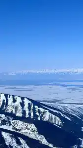 Арго - 4