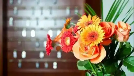 Käferstein garni - 17