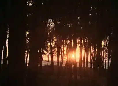 Simple Pleasures - 22