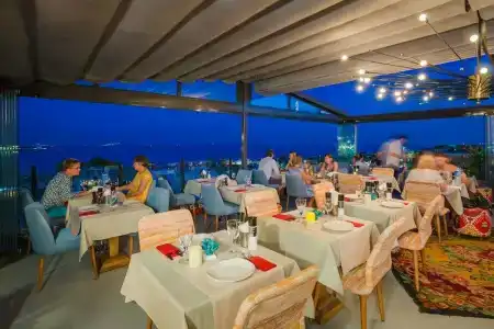 Tria Elegance - 29