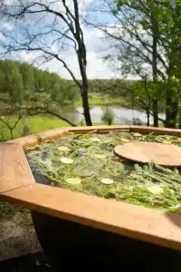 Лес & Озеро - 11