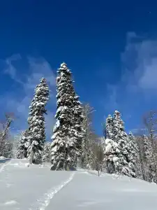 Атмосфера - 24