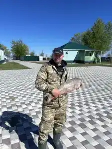 Оазис - 49