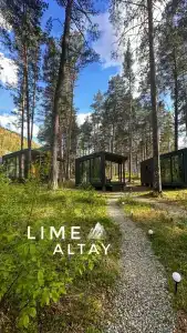 Lime Altay - 8