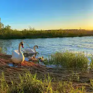 Кемпинг Анохово - 25