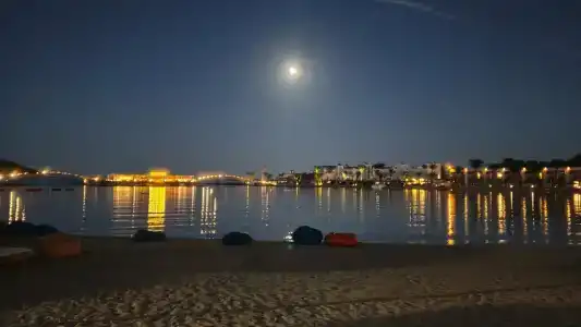 Desert Rose Resort - 5