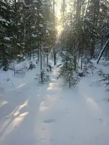 Янов хутор - 27