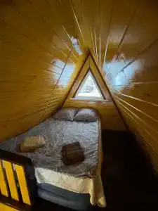 Скворцы - 12