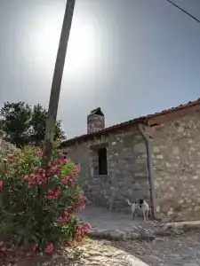 Bahab Guest House - 29