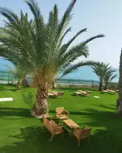 Paradisun - Adults Only Recommended - 4