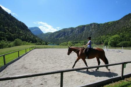Seeblick - 9