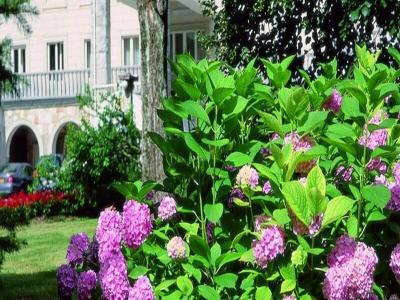 Vila Bled - 5