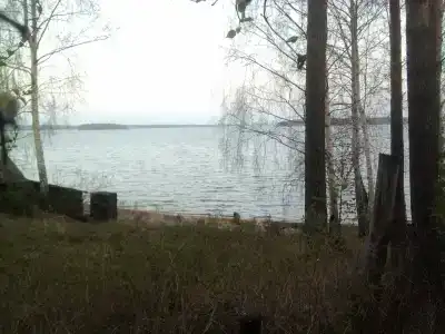 Сайма - 5