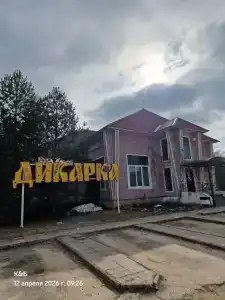 Дикарка - 19