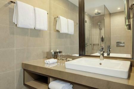 Sheraton Grand Tbilisi Metechi Palace - 71