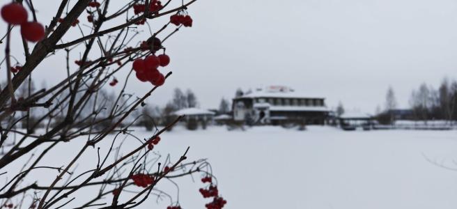 Серебряный рожок - 38