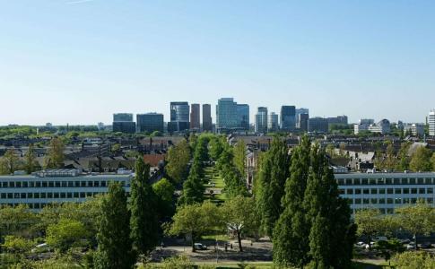 Hilton Amsterdam - 29