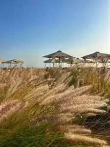 Baron Palace Sahl Hasheesh - 24