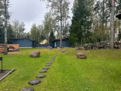 Лес - 4