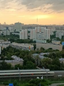 Авелон - 23