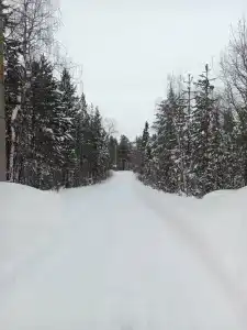 Кольский - 22