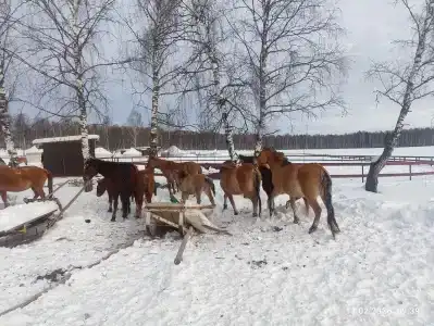 Шайтан-Кудей - 48