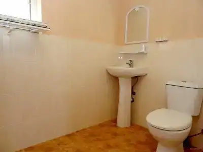 Кипарис - 14