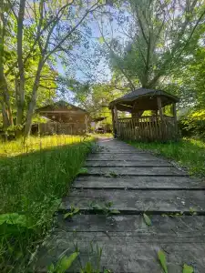 Русские бани - 17