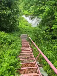 Лето - 3
