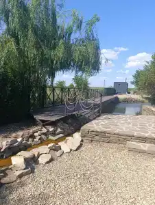 Дача - 37