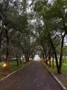 Тагарское - 19