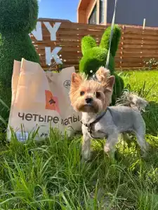 Bunny Park - 87
