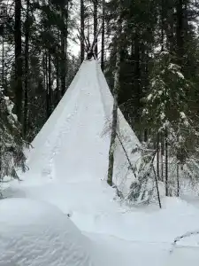 Северный олень - 27