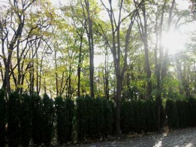 Horizont - 20