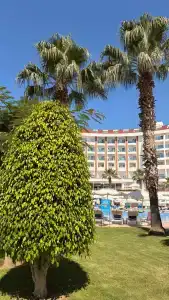 Side Prenses Resort & Spa - 19