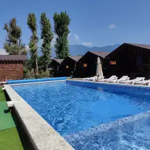 Платан-Paradise - 2