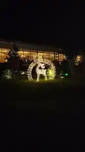 NG Sapanca Wellness & Convention - 18