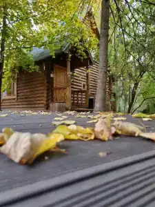 Лада Holiday - 54