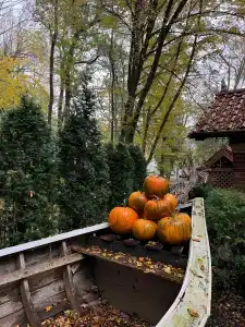 География - 2