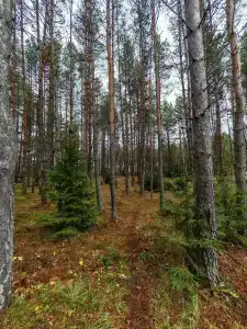 Мать и дитя - 36