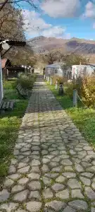 Вишневый сад - 44