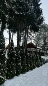 Верасы - 48