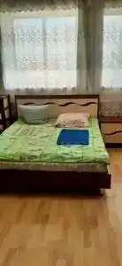 Дельфин - 27