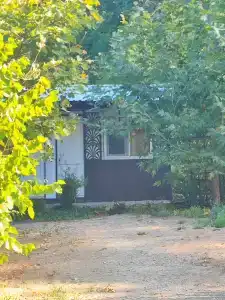 Светлана - 13