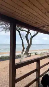 База отдыха у Петровича - 27