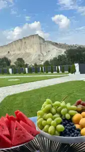 Шелест - 15