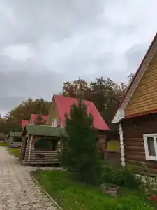 Алга - 29