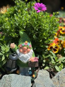 Под небом Архыза - 25